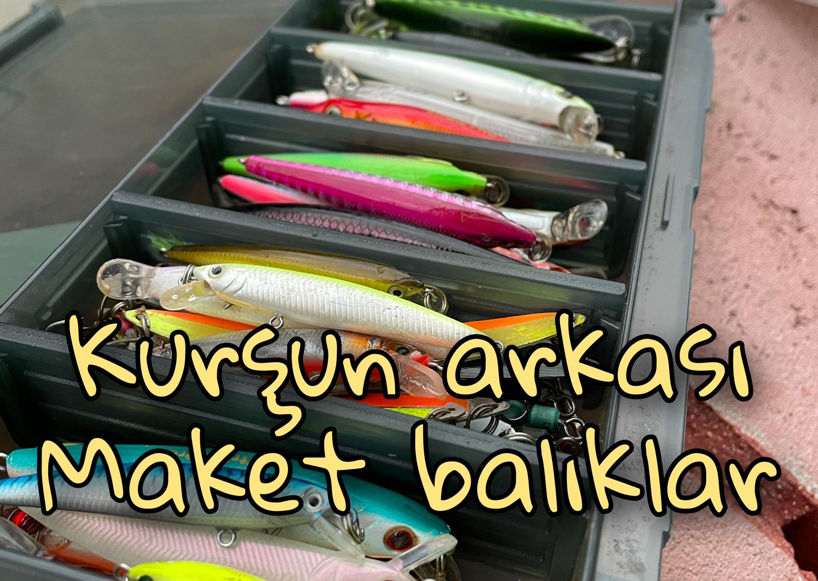 Kurşun arkası Maket Balık temizliği