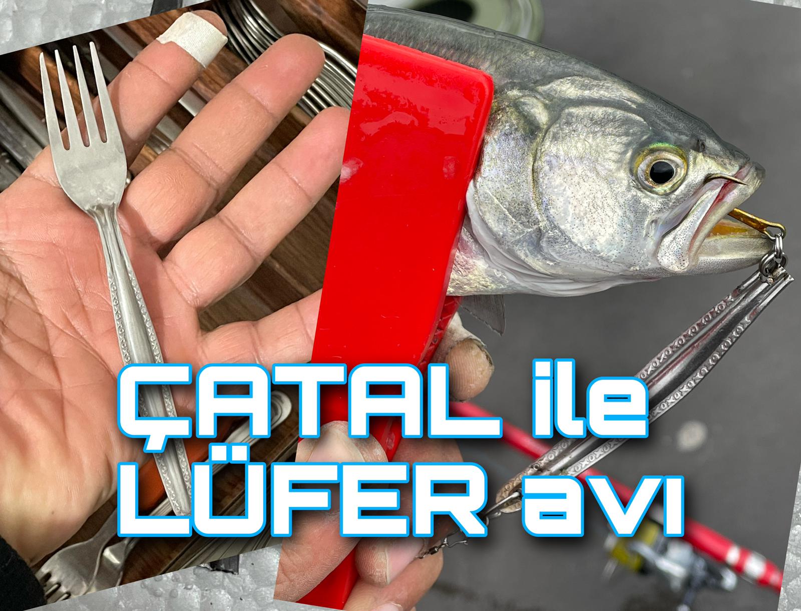 Boğazda Çatal ile Sarıkanat avı